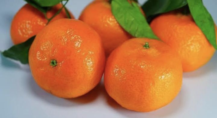 ส้มจีนไร้เมล็ด-เสียบยอดแท้-1-ปีติดผล-ผลดก-หวาน