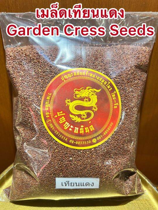 เมล็ดเทียนแดง-garden-cress-seeds-เทียนแดง-เมล็ดเทียนแดงบรรจุ1โลราคา140บาท