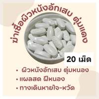 Skin support บำรุงผิวหนัง สำหรับสุนัขและแมว 005