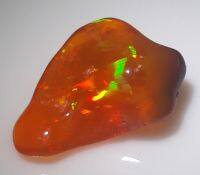 1.56 cts natural hi-end multi color opal gems stone