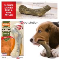 Nylabone Power Chew ของเล่นขัดฟัน Antler