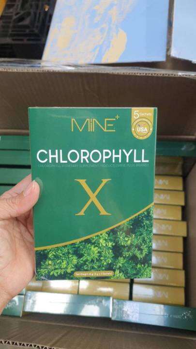 คลอโรฟิลล์-เข้มข้น-mine-chlorophyll-x-มายพลัส-คลอโรฟิลล์มายมิ้นอาสัว