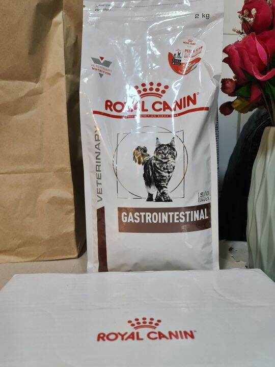 Royal Canin Gastrointestinal Cat Dry Food 2Kg | Lazada Ph