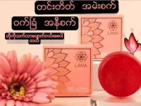 ဆားဝက်ခြံအတွက် အကောင်းဆုံး Lana face soap