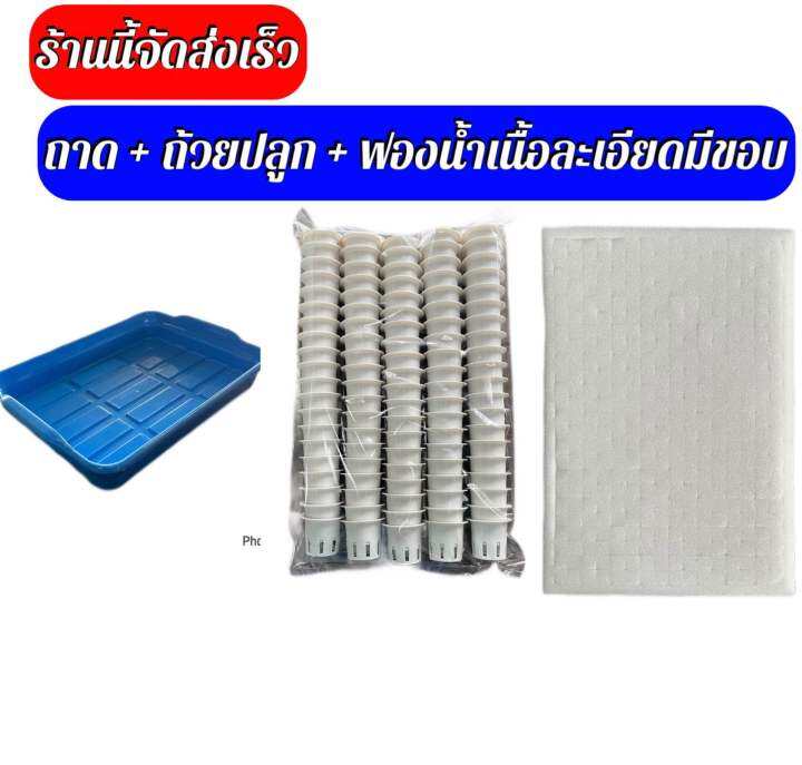 ถาดเพาะ-ถ้วยปลูก-100ใบ-ฟองน้ำเนื้อละเอียด-1-แผ่น-จัดส่งทุกวัน