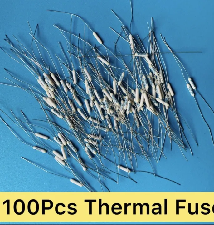 100 Pcs Electric Fan Fuse 2A 250V DAWENWIL Online Shop Lazada PH