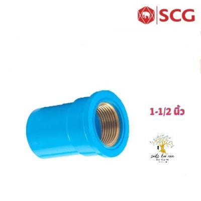 SCG ต่อตรงเกลียวใน ทองเหลือง (Brass Faucet Socket) ท่อหนา อุปกรณ์ท่อประปา PVC สีฟ้า ขนาด 1-1/2 นิ้ว
