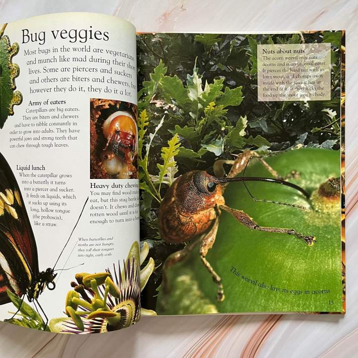 open-your-eyes-to-a-world-of-discovery-หนังสือสารานุกรมความรู้-สำหรับเด็ก-bugs