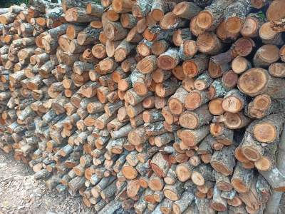 ไม้ลำใยรมควัน  Longon Wood,&nbsp; 1kg. 1กิโลกรัม