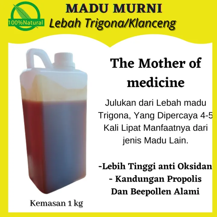 MADU ASLI MURNI ORIGINAL 1 KG - MADU KLANCENG SUPER LEBAH TRIGONA | kaya Kandungan Bee polle dan Propolis Alami | Klanceng Lanceng Bambu Liar Kelulut | Lazada Indonesia