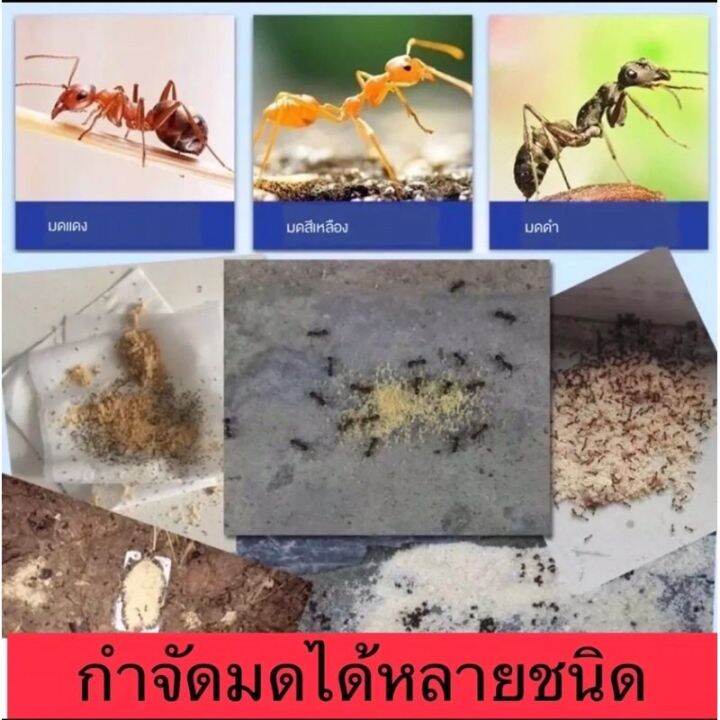 ฆ่ามด-ชนิดซอง20กรัม-จำนวน3ซองสุดคุ้ม-ใช่ง่ายแค่โรย-ออกฤทธิ์นานไม่มีกลิ่น-ส่งด่วนทุกวัน