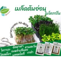 เมล็ด ต้นอ่อน ไมโครกรีน (Microgreen) ต้นอ่อนทานตะวัน , อัลฟาฟ่า , งาดำ , โตเหมี่ยว , ไควาเระ , กะหล่ำปลีแดง , บลอคโคลี Microgreen ปลูกกินต้นอ่อน