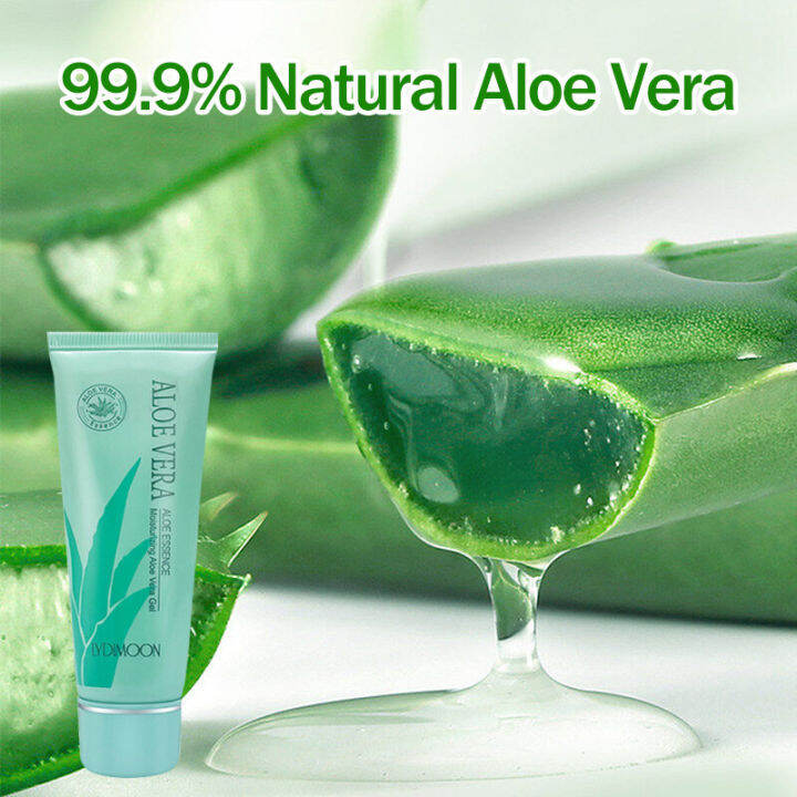 Aloe Vera Gel Essence Aloe Vera Gel 40g Acne moisturizing and whitening