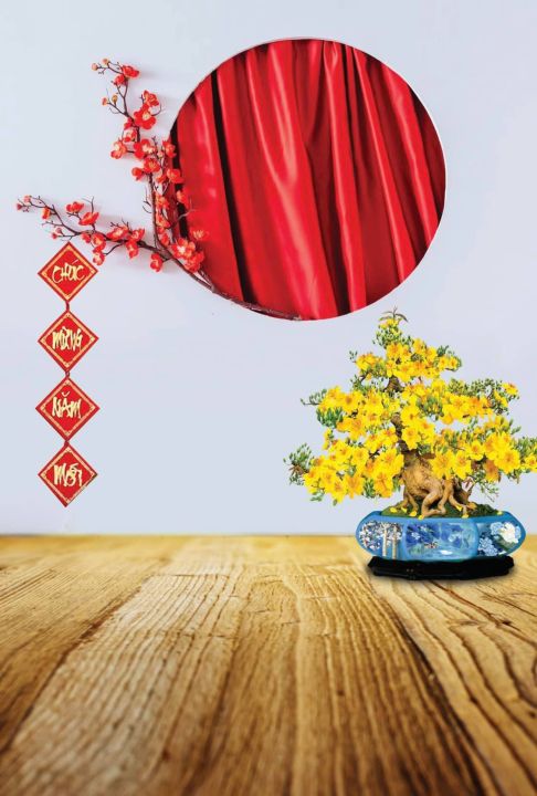 Want to add a touch of festivity to your Tết photos but don\'t have a lot of resources? Try using phông nền chụp ảnh Tết, which can easily create a cheerful and colorful backdrop that blends well with traditional clothes and decorations. The result will surely be eye-catching!