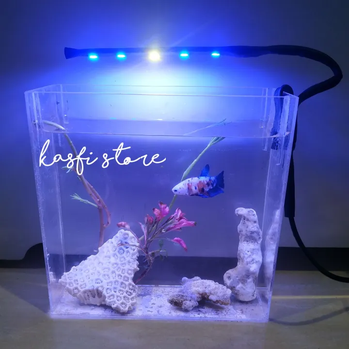 Lampu Aquarium Aquascape Mini Mata Lampu Led Smd Kombinasi Biru Putih