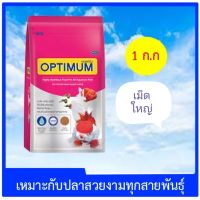 อาหารปลาสูตรพิเศษที่เพิ่มซินไบโอติก ( เม็ดใหญ่ )​ (โปรไบโอติกและพรีไบโอติก) ที่ทำงานร่วมกันซึ่งส่งผลดีต่อสุขภาพของปลา