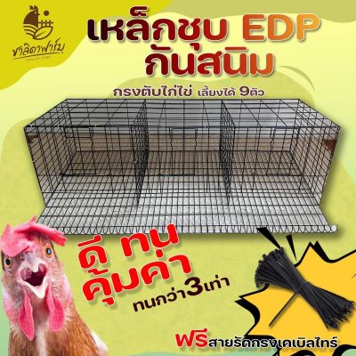 กรงตับไก่ไข่ เฉพาะกรง เหล็กชุบ EDP สีดำกันสนิม ใส่ไก่ได้9ตัว กรงไก่ กรงไก่ไข่ กรงตับ กงตับ