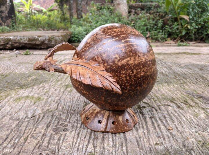 celengan batok celengan uang koin dan uang kertas celengan unik