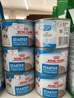 Royal canin starter กระป๋อง 195 g