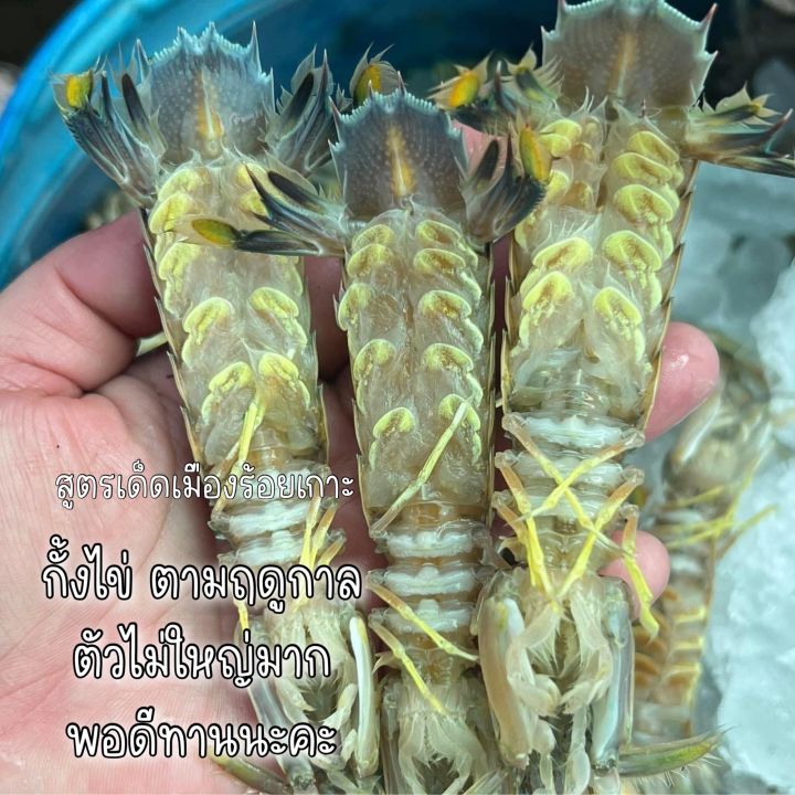 กั้งไข่-ดองซีอิ๊วสูตรเด็ดเมืองร้อยเกาะ-แถมน้ำจิ้มซีฟู้ด-รสเด็ด