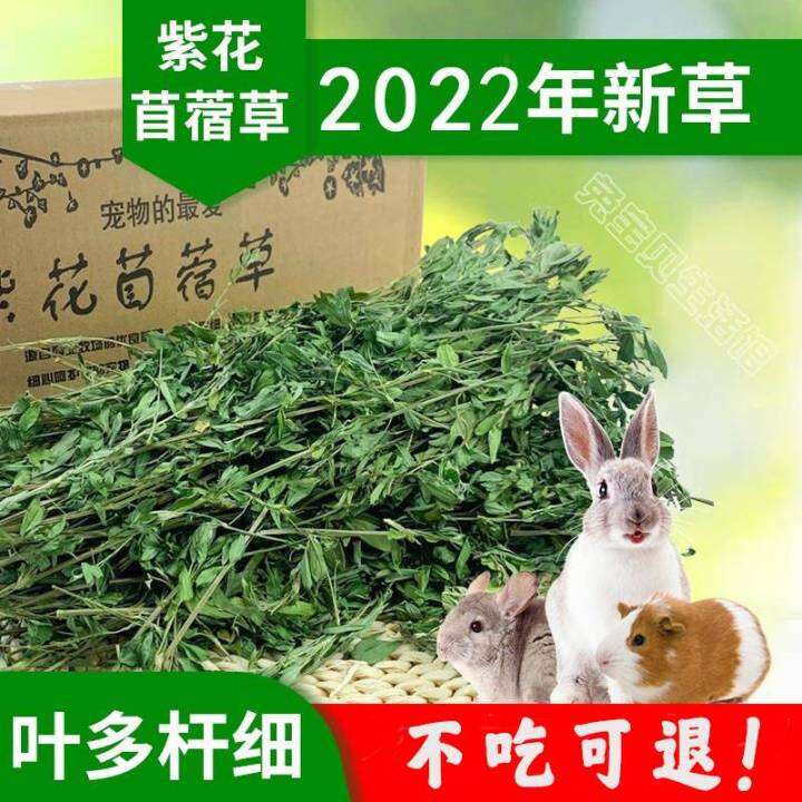 22 Years Fresh Dried Alfalfa Grass 1kg Young Rabbit Hay Totoro Rabbit