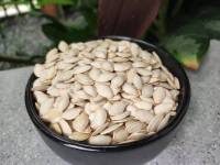 เมล็ดฟักทองดิบ raw pumpkin seeds สำหรับนกแก้ว นกปากขอ และสัตว์ฟันแทะ 0.5 กก