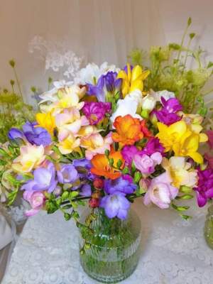 ดอกฟรีเซียดกพวง1ชุด5หัวพันธุ์คละสีถูกที่สุดปลูกง่ายดอกไม้แห่งควารัก