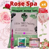 Rose SPA ×4 บำรุงรักษาปกป้องแตกยอดดอกใหญ่คุ้มสุด4อย่างครบจบในความสวย