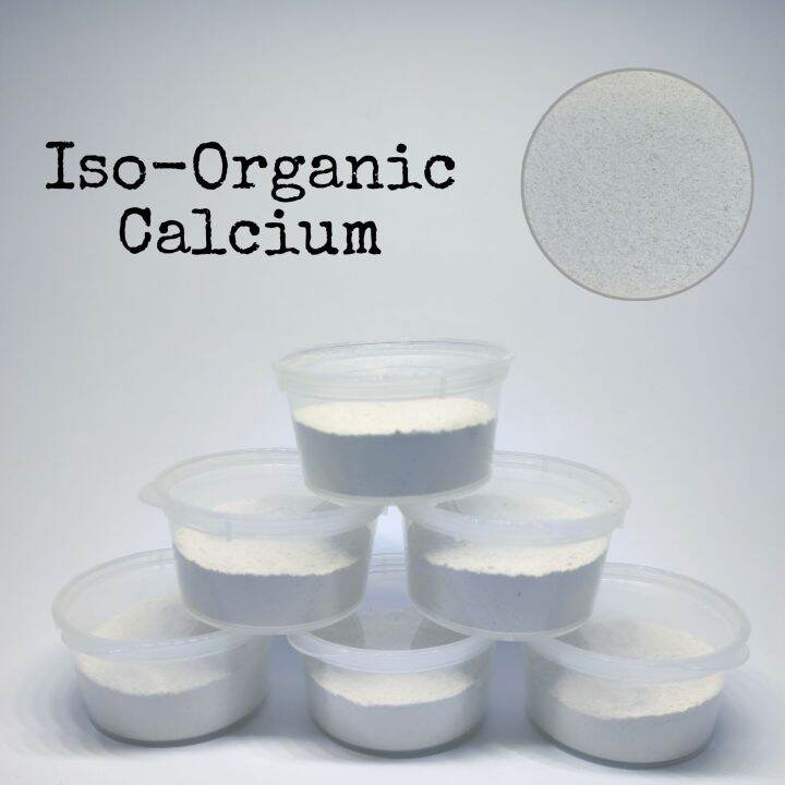 Calcium for Isopod Lazada PH