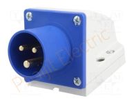 ปลั๊กเสียบติดลอย ชนิดกันฝุ่น IP44 Haco 513-6V PCE / Wall Mounted Plug (With Gasket) IP44,  513-6V
 16A 230V 3Pin, ( 2P+E ) สีฟ้า PCE(HACO)
PCE By Haco Original Products