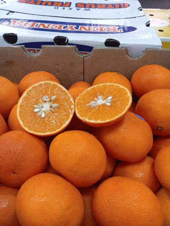 ส้มแมนดารินออสเตรเลีย 8.5- 9kg
#40-46ลูก