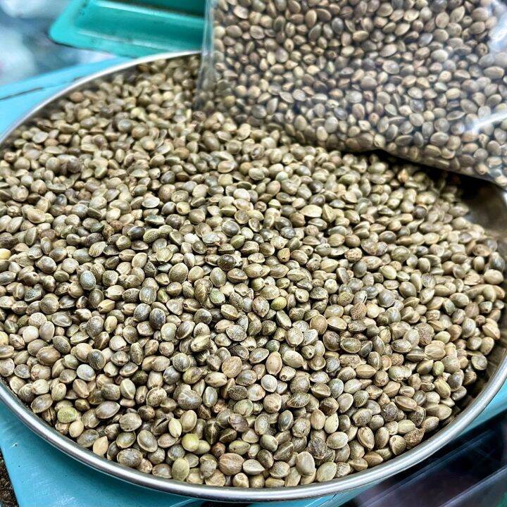 เมล็ดฮวยมั้ว-100-กรัม-เกรดa-อาหารนกแก้ว-ฮวยมั๊ว-ฮ้วยมั้ว-hemp-seed-เมล็ดพืช-โปรตีนสูง-ไขมันสูง-อาหารว่างสำหรับนก-แฮมสเตอร์-กระรอก