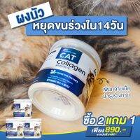 (2 แถม 1) Lisa ผง Collagen บำรุงขน ลดขนร่วง เพิ่มความอยากอาหาร ขนาด 60 กรัม