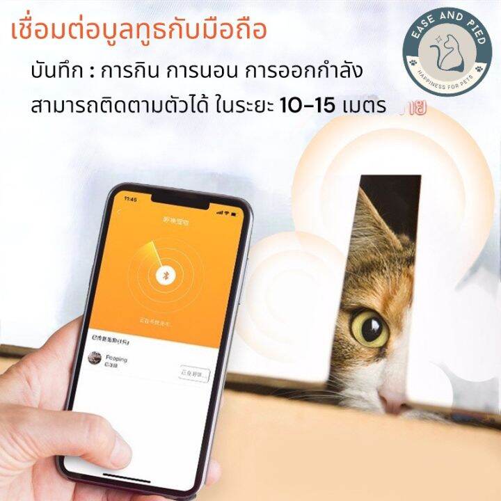 ปลอกคอสุนัข-ปลอกคอ-ปลอกคอแมว-ปลอกคออัจฉริยะ-pet-smart-activity