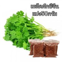 เมล็ดพันธุ์ผักชีจีน 50กรัม ผักชี ผักชีจีน  เมล็ดเต็ม งอกดี โตไว เก็บได้นาน