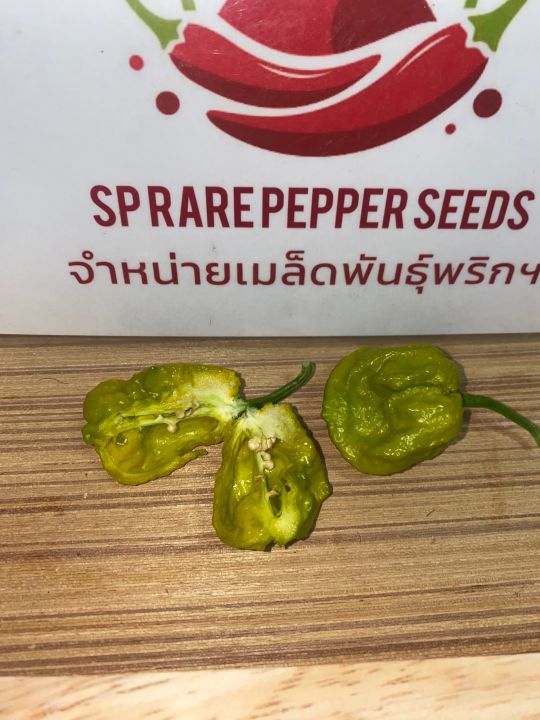 พริกซาตาน-pepperx-แท้