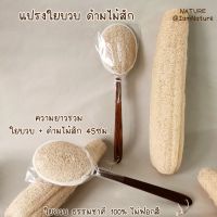 ขนาดใหญ่ NATURE : แปรงใยบวบด้ามไม้สัก ขนาดใหญ่ ไม่ฟอกสี ☘️