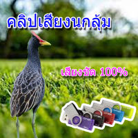 เสียงต่อ นกอีลุ้ม  แฟลชไดรฟ์ เสียงดี ชัดแจ๋ว100% เข้าแน่นอน