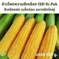 [100 กรัม] เมล็ดข้าวโพดหวาน 1351 เอ12 หวานร่อนไม่ติดซัง สีสวย ทนต่อการขนส่ง