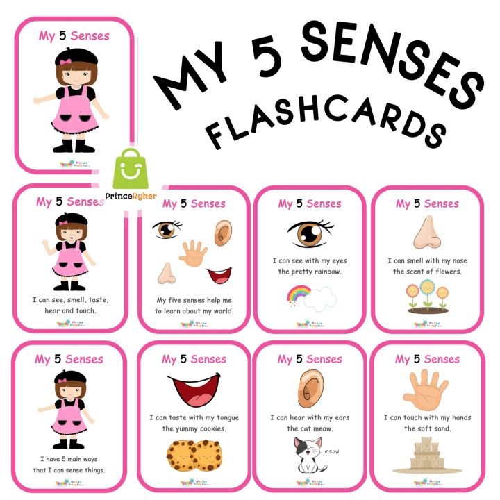 My 5 Sense Laminated Flashcards, 9 Pcs Educational Flashcards For Kids 