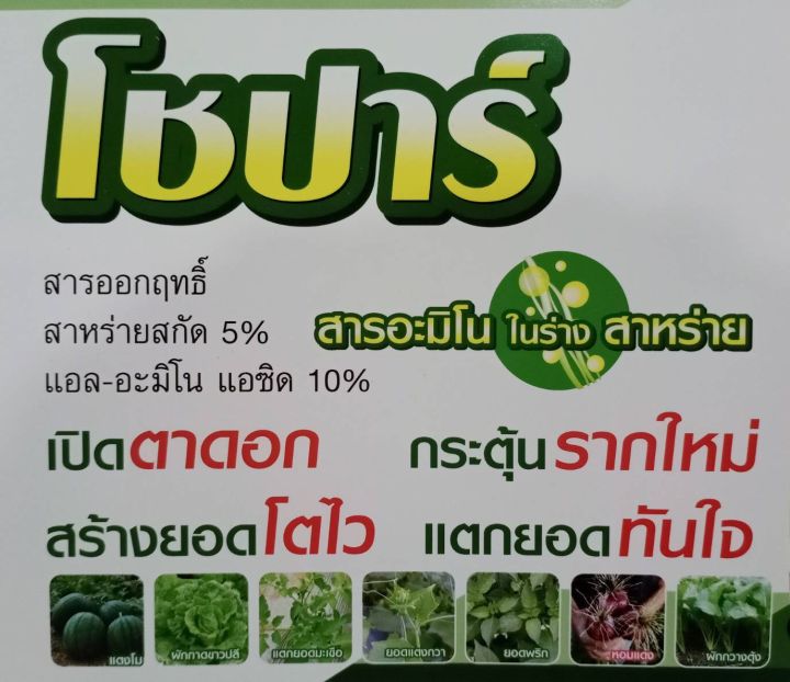 โชปาร์-chopar-สารอะมิโนในร่างสาหร่าย-เปิดตาดอก-กระตุ้นรากใหม่-สร้างยอดโตไว-แตกยอดทันใจ