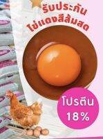 อาหารไก่ไข่