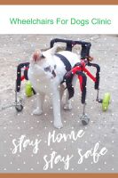 วีลแชร์สุนัข แมว พิการขาหน้า ขนาดไซส์ XS. สัตว์เลี้ยง รถเข็น wheelchair dog  **ติดต่อร้านค้าก่อนสั่งซื้อ**โดยสัตวแพทย์