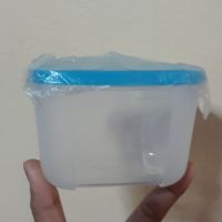 Tupperware freezer mate 300ml. 1ใบ