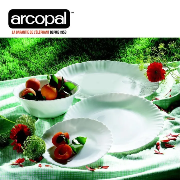 Arcopal Feston Dinner Set Lazada PH