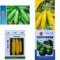 เมล็ด ซูกินีเขียว 25 เมล็ด/ ซูกินีสีเหลืองทอง / ซูกินีลูกกลม ( Zucchini Seed ) สายพันธุ์ OP/F1