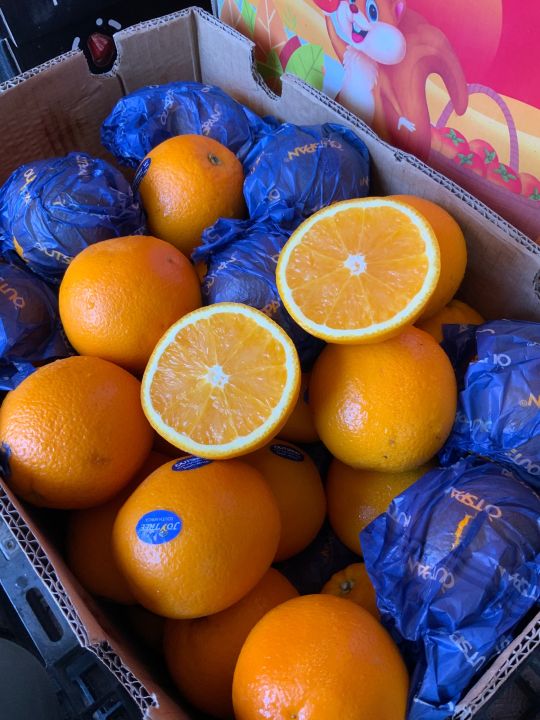 ส้ม-ส้มซันคริส-ส้มเวเลนเซีย-valencias-south-africa-ลูกใหญ่-4-5-ลูก-น้ำหนัก-1-กิโลกรัม