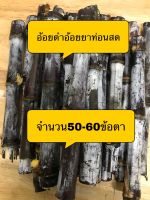 อ้อยดำอ้อยยาท่อนสด50ข้อตาsaccharum sinense อ้อยแดงอ้อยขม