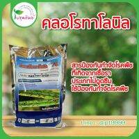 คลอโรทาโลนิล ขนาด 1 กิโลกรัม ราน้ำค้าง ราดำ เชื้อเข้าขั้วผล