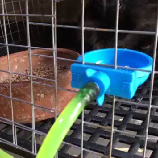 10pcs Water Cup Bowl Dish Rabbit Drinker Bird Watener Cage Automatic